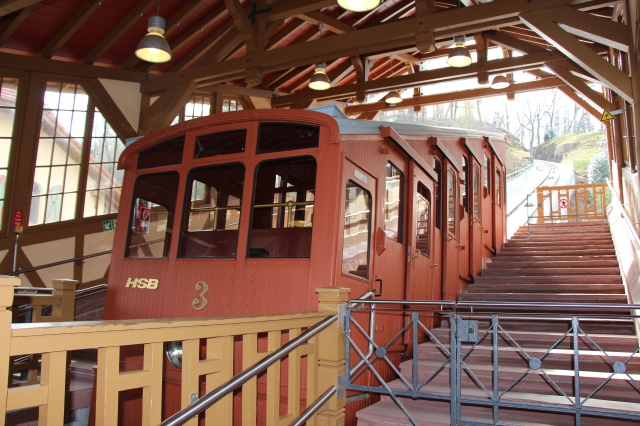 Previously, we had used the funicular only to get to the castle. I decided to take a walk in the woods on top of the mountain, so I took the "historical" part of the railway. Over 100 years old, folks, with all the creaks and rattles to prove it!